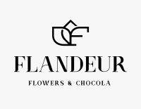 Flandeur company logo, one of Epic System clients