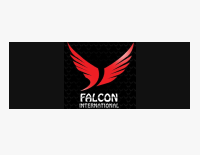 Falcon company logo, one of Epic System clients